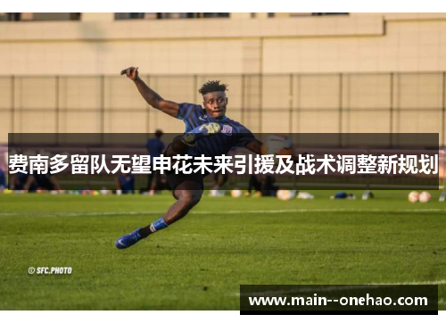 费南多留队无望申花未来引援及战术调整新规划 费南多留队无望申花未来引援及战术调整新规划