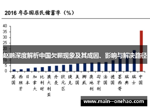 赵鹏深度解析中国欠薪现象及其成因、影响与解决路径 赵鹏深度解析中国欠薪现象及其成因、影响与解决路径